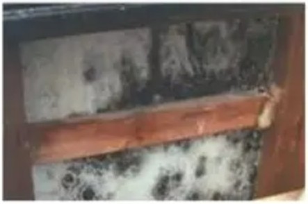 リセット住宅 見えない場所に出ていたカビ